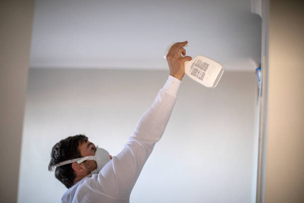 Best Office Mold Removal Services  in Forest City, IA