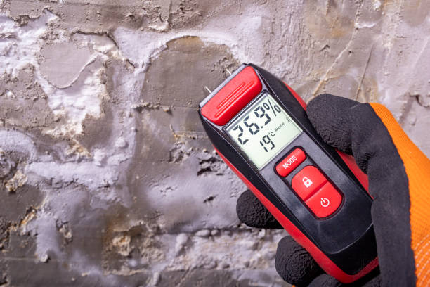 Mold Testing and Removal in Forest City, IA