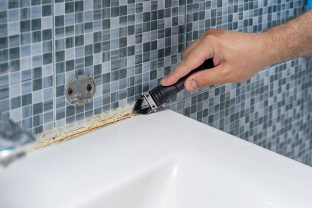 Best Home Mold Removal  in Forest City, IA