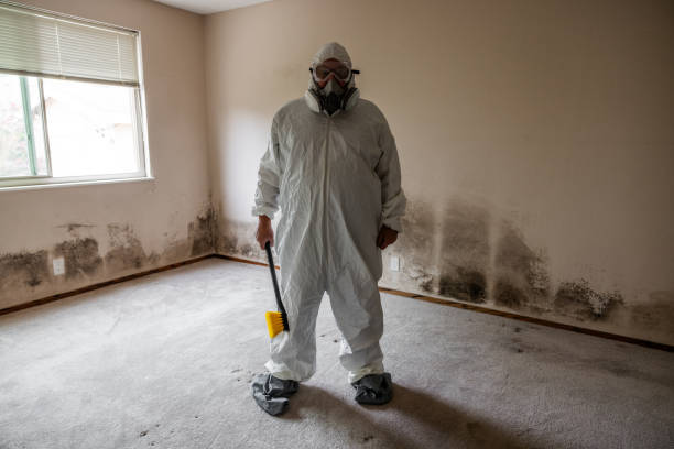 Best Crawl Space Mold Removal  in Forest City, IA